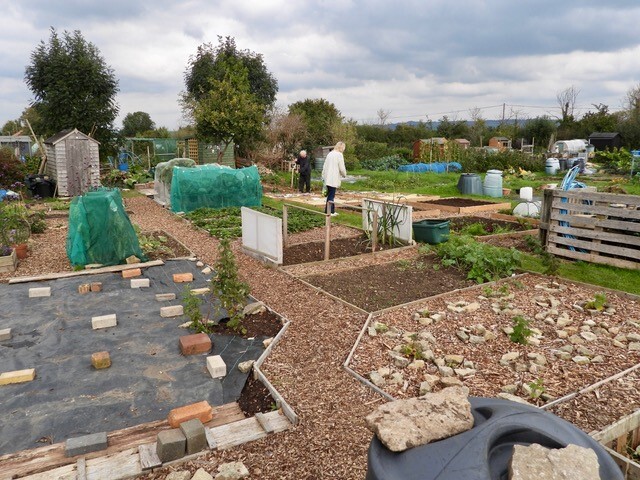 View of a plot.